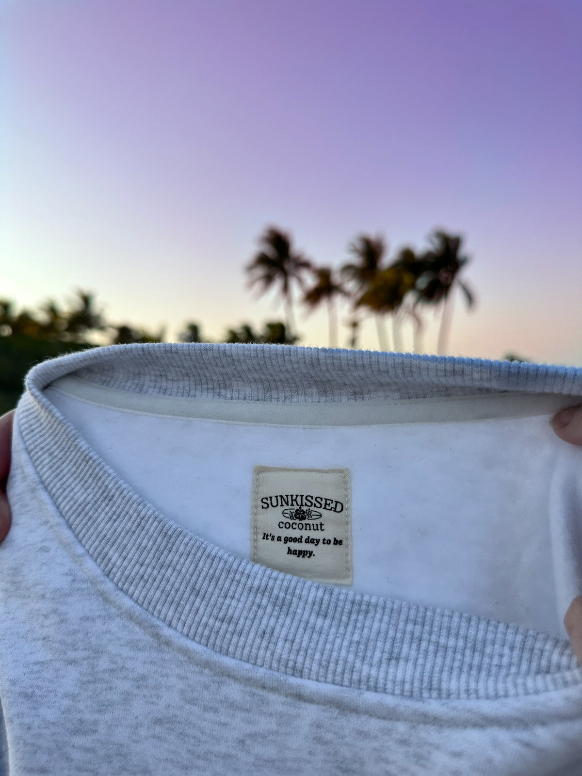 VINTAGE AMERICAN FLAG EMBROIDER SWEATSHIRT - Sunkissedcoconut