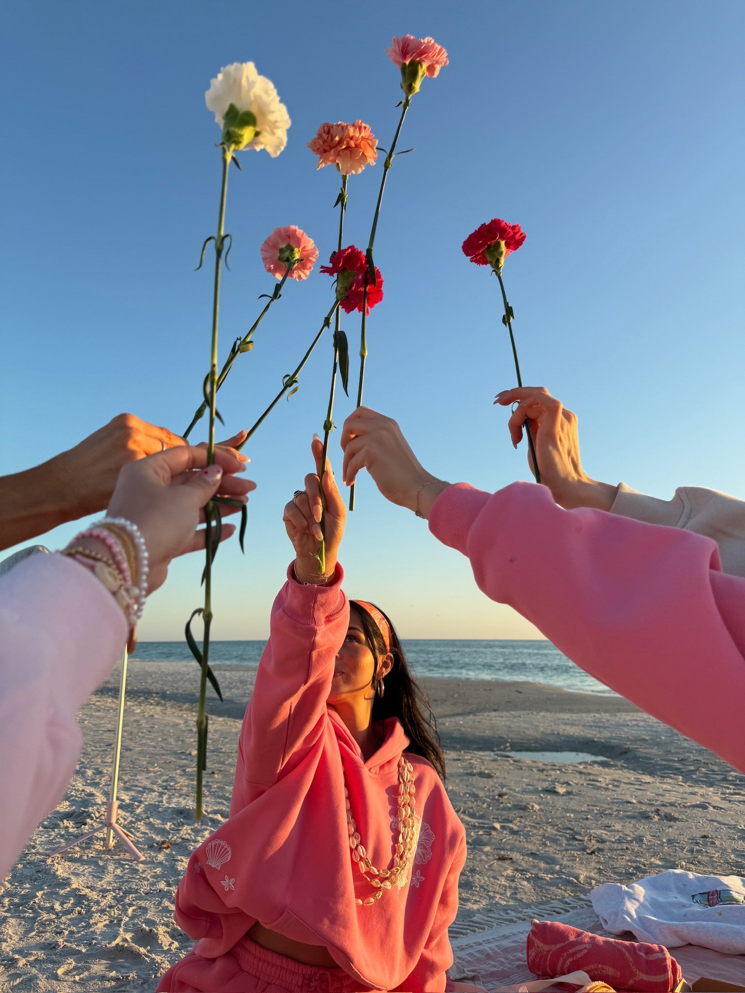 Hibiscus Pink Tropical Embroider Hoodie