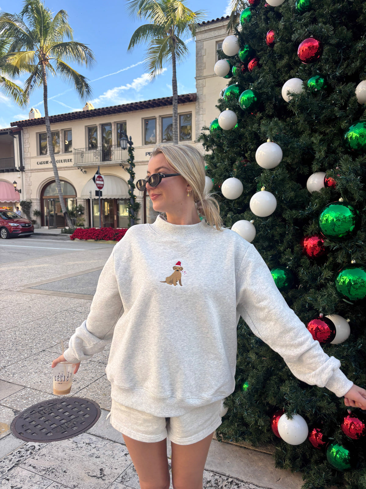 Pearl Grey Christmas Dog Santa Hat Embroidered Mockneck Sweatshirt 100% Cotton