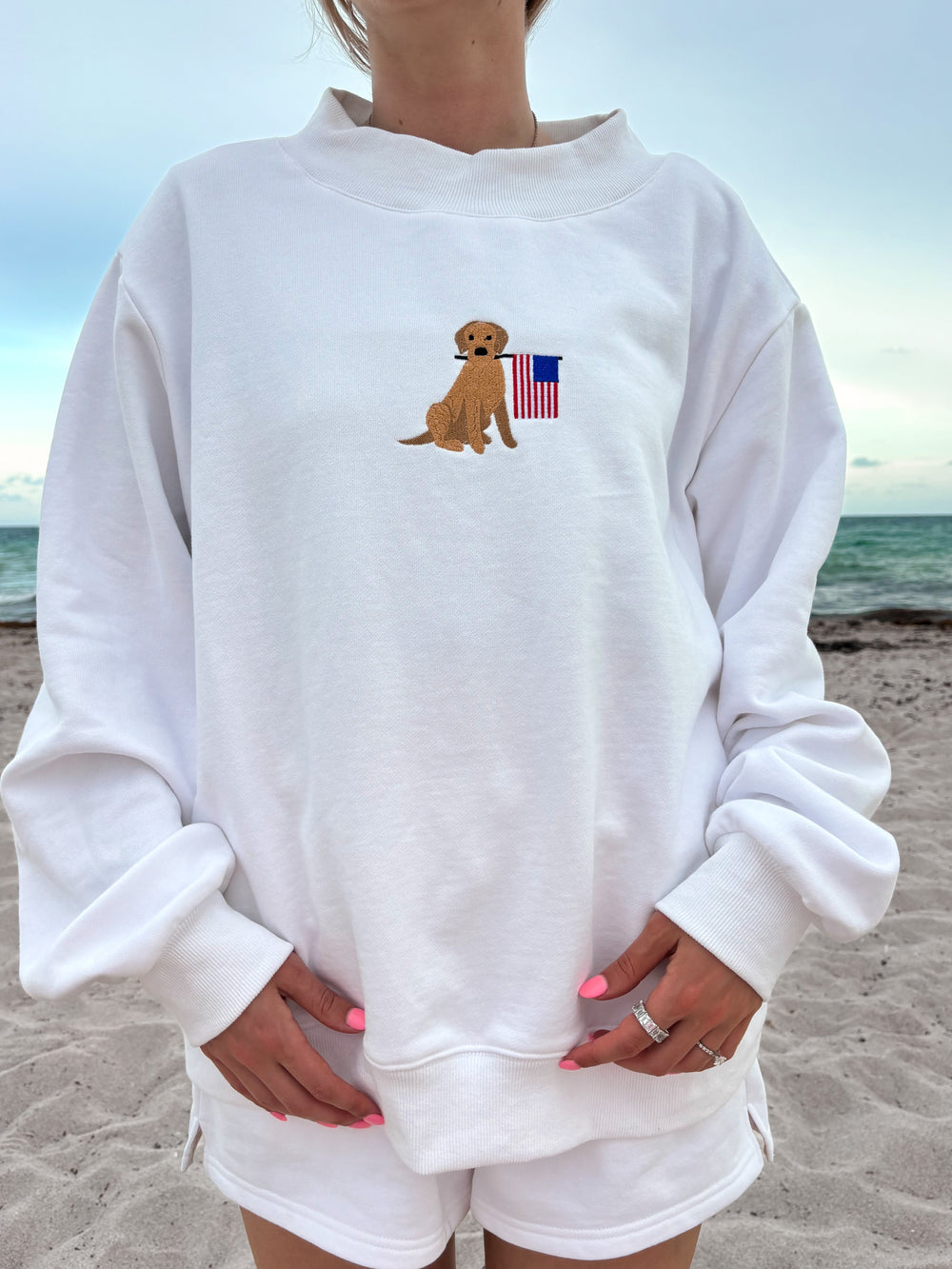 Checker State of Tennessee Hound Dog Sweatshirt main image 1