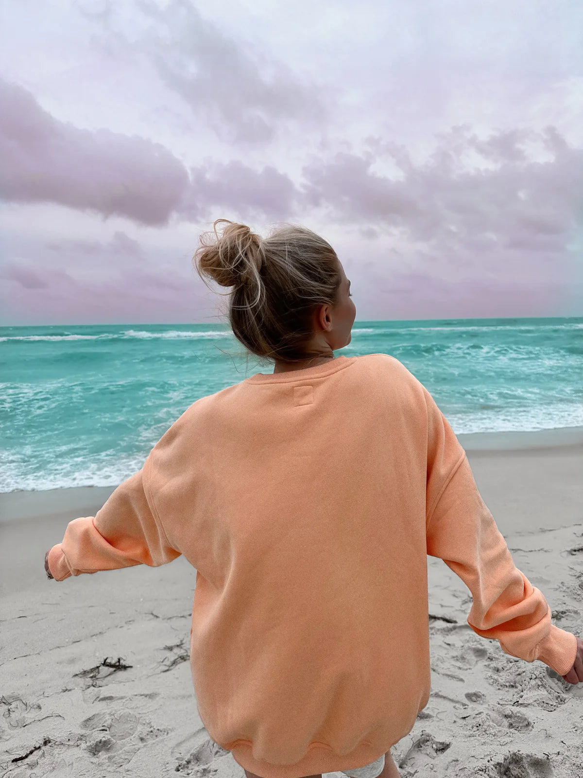 Sunkissedcoconut Embroider Oversized Crewneck Sweatshirt