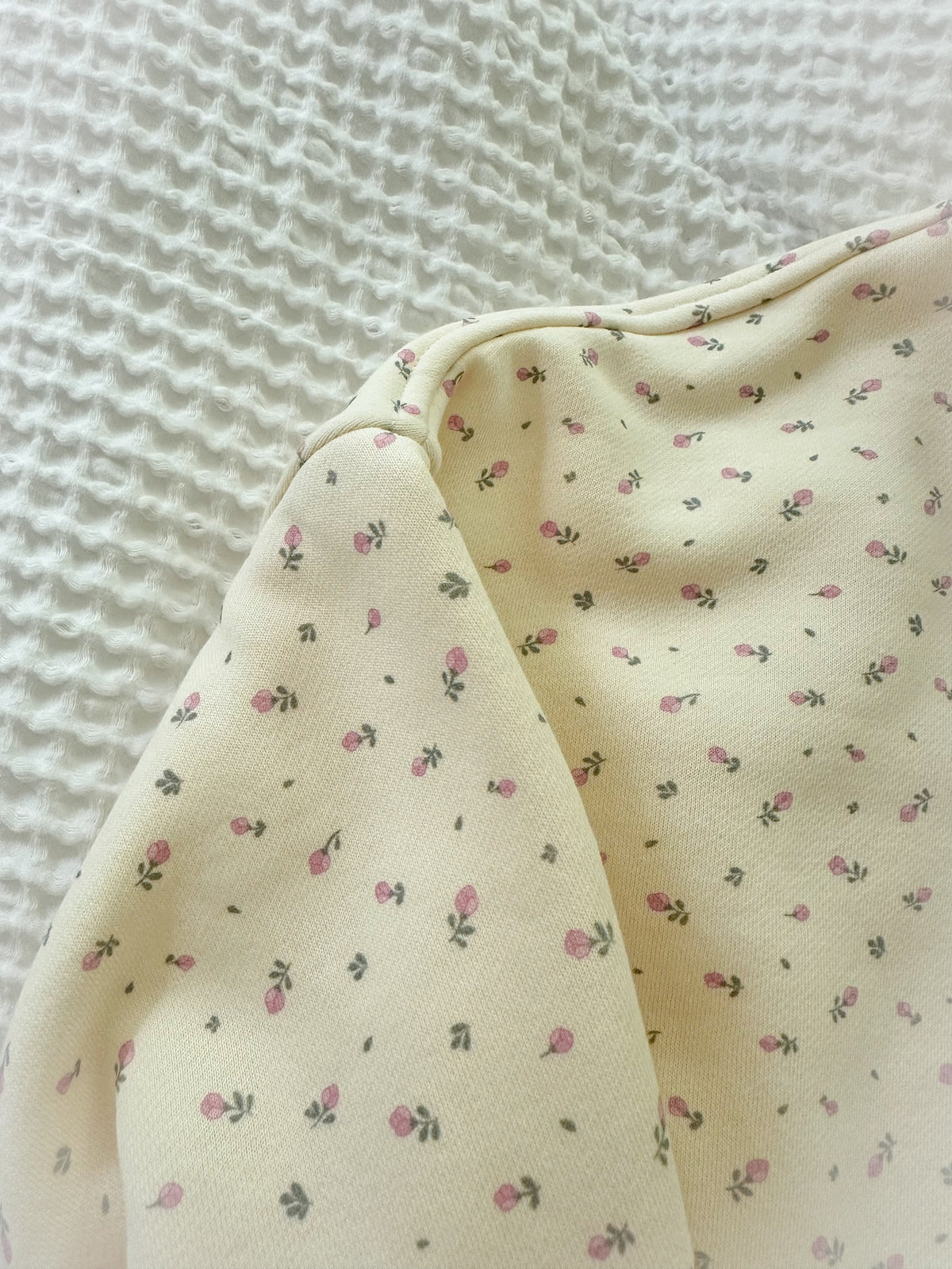 Toasted Cream Roses Embroider Sweatshirt