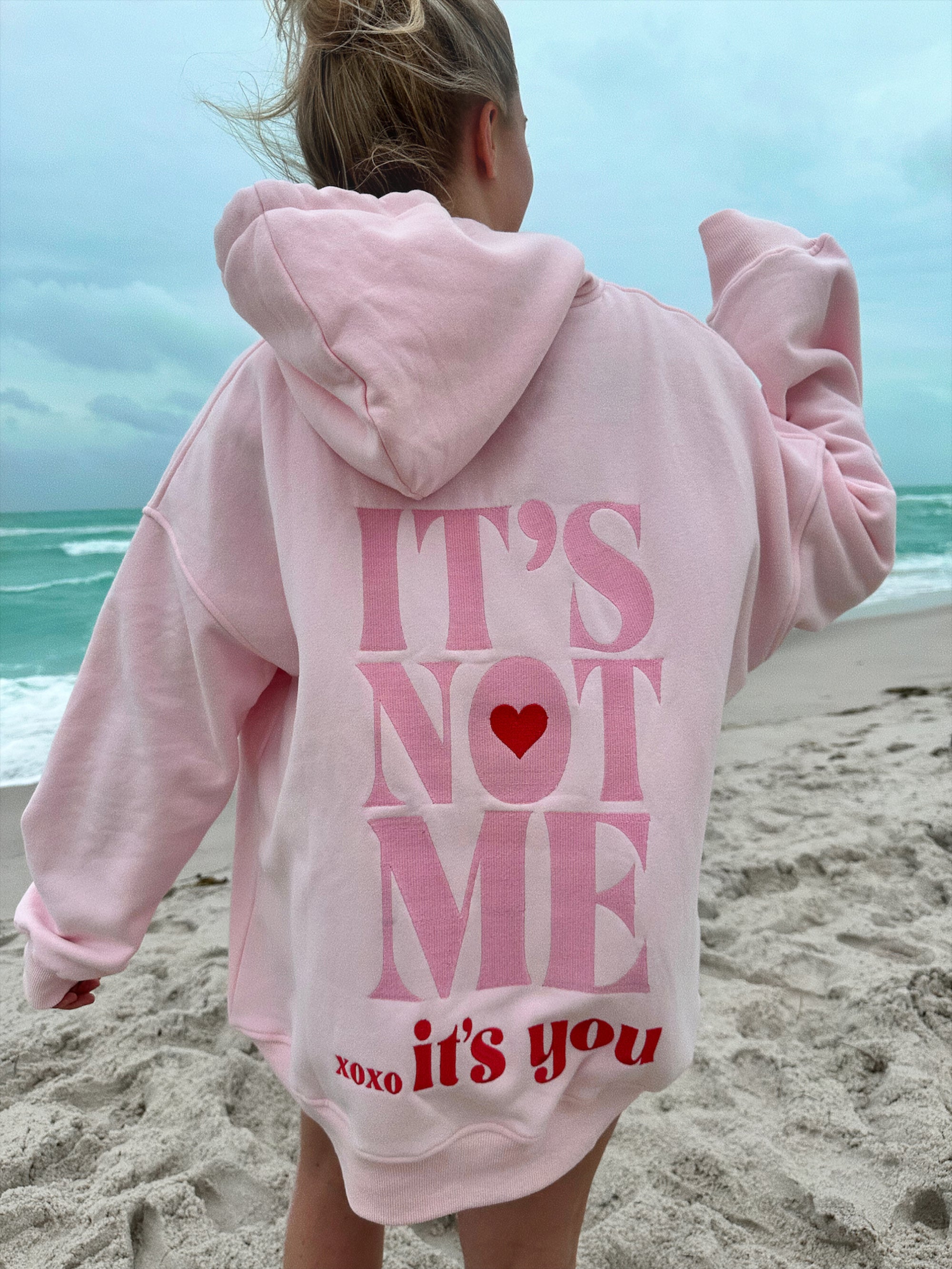 It's Not Me It's You Embroider Hoodie