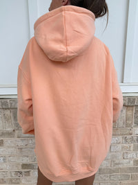 Sunkissed Collegiate Embroider Oversized Hoodie