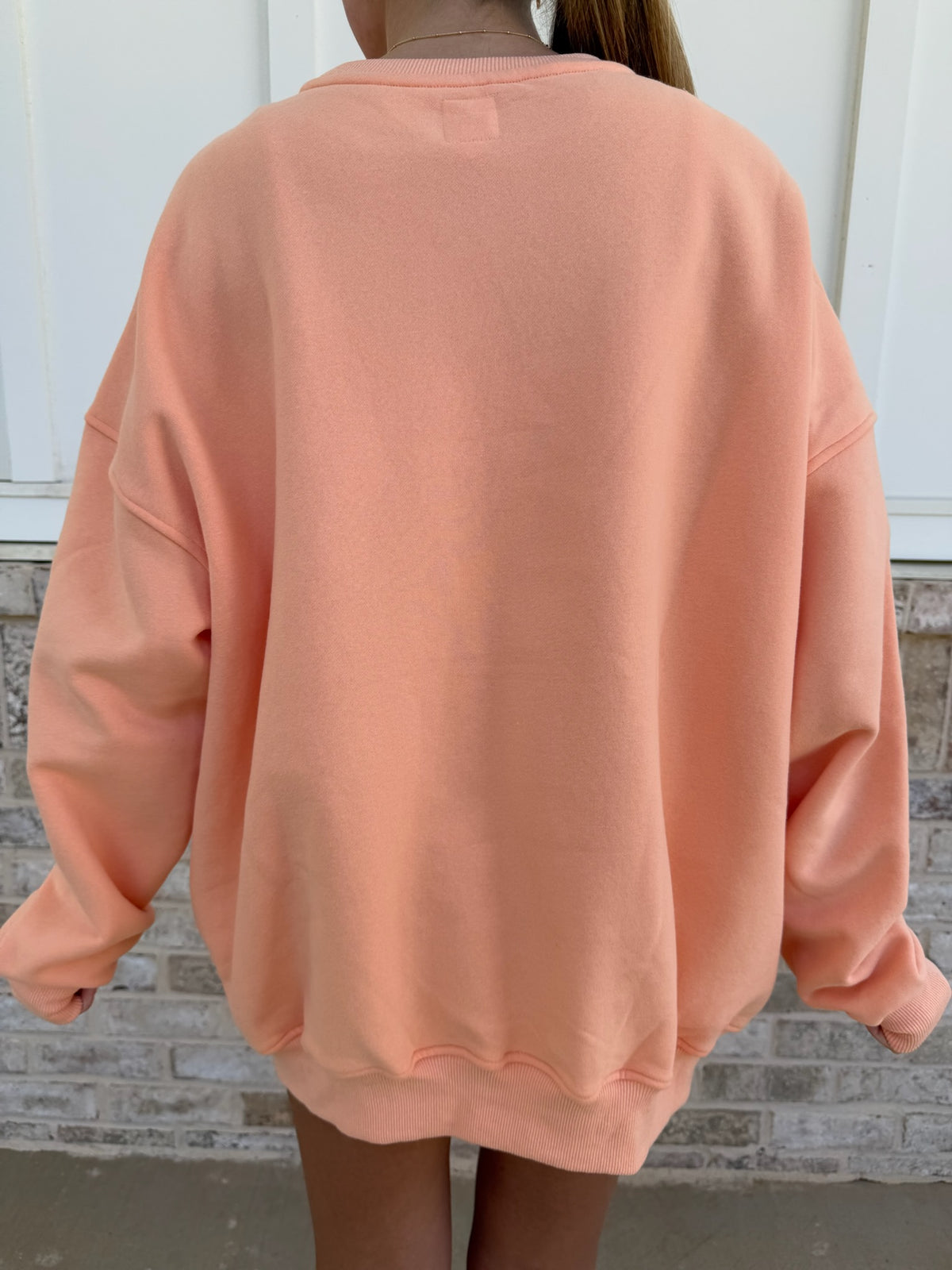 Sunkissedcoconut Embroider Oversized Crewneck Sweatshirt
