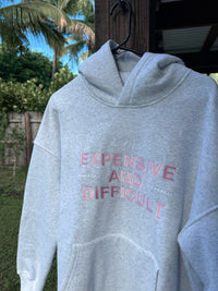 Expensive And Difficult Embroider Hoodie