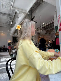 Isabella Banana Yellow Sunkissedcoconut Embroider Sweatshirt