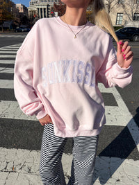 Light Pink Varsity Embroider Sweatshirt