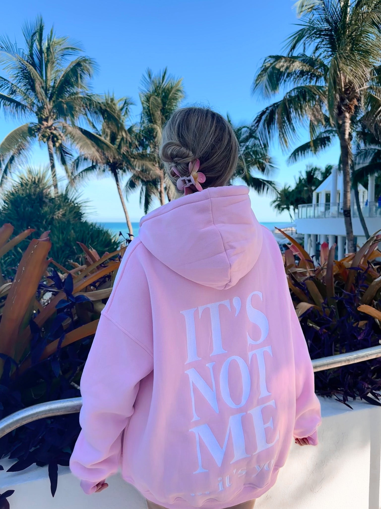 IT'S NOT ME IT'S YOU EMBROIDER HOODIE - Sunkissedcoconut