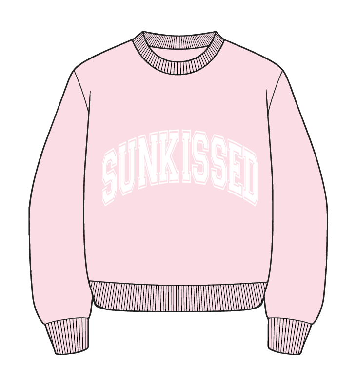 Light Pink Varsity Embroider Sweatshirt