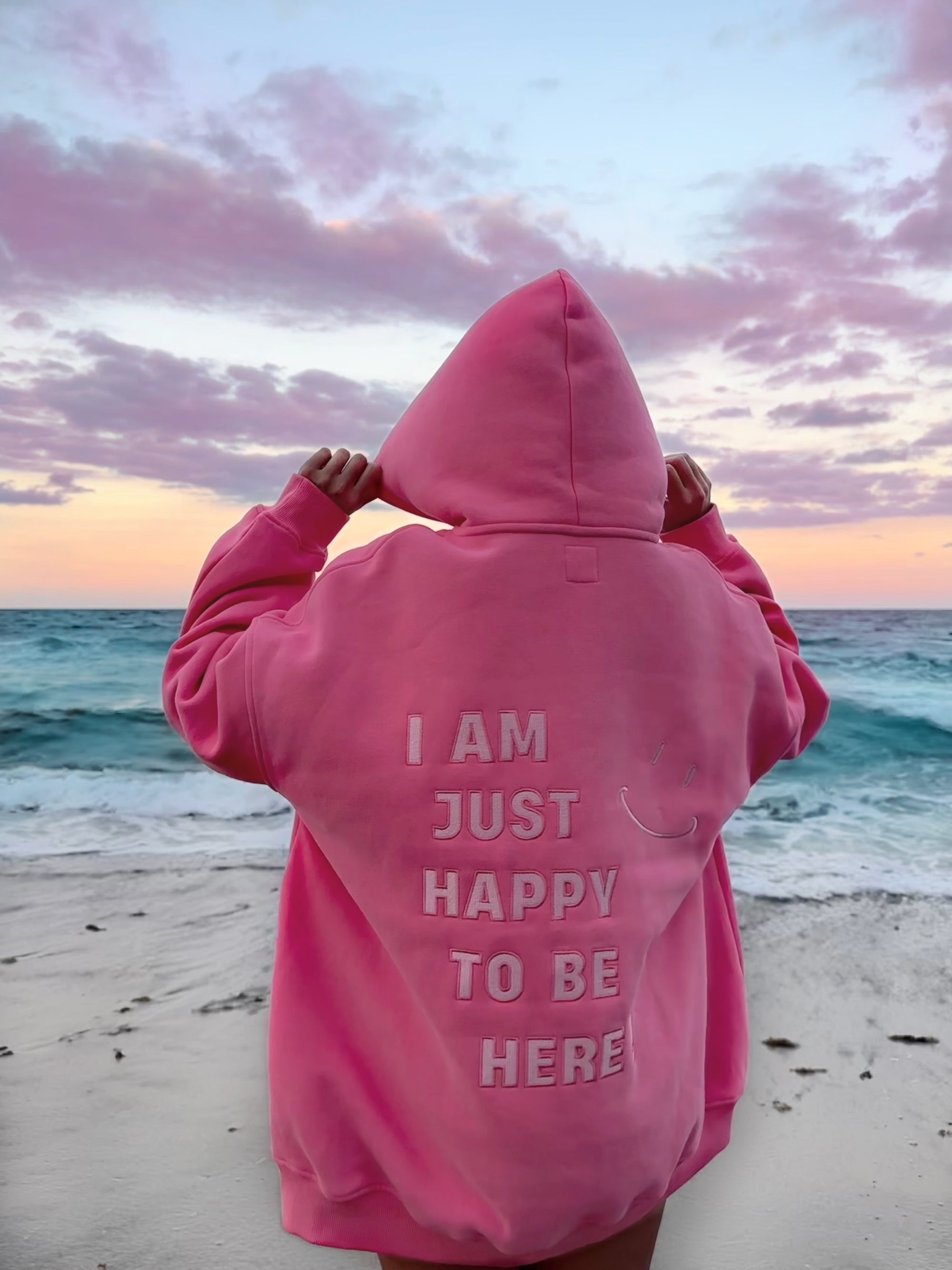 I AM JUST HAPPY TO BE HERE EMBROIDER HOODIE