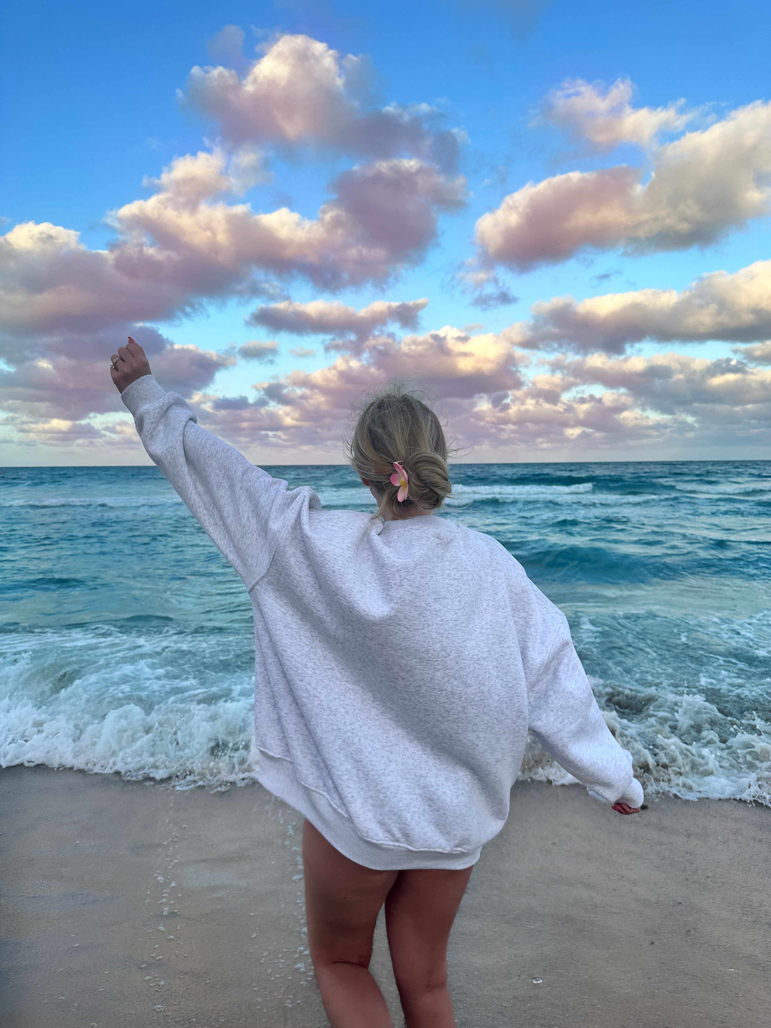 UNITED STATES OF AMERICA EMBROIDER SWEATSHIRT - Sunkissedcoconut